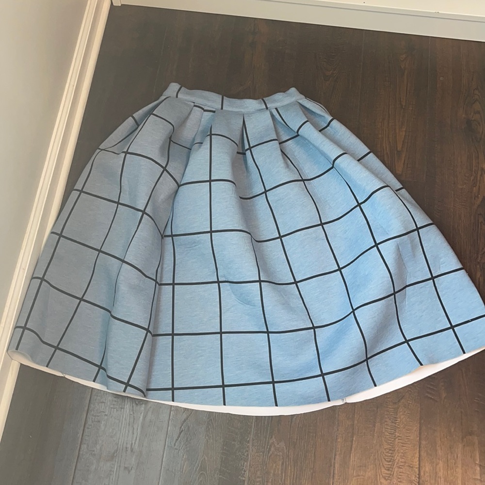 Top Shop Skirt